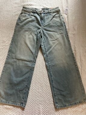 PacSun Casey Low Rise Baggy Jeans Light Wash NWT Size 29